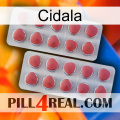 Cidala 19